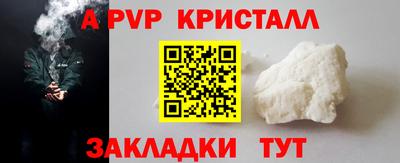 шишки Заволжье